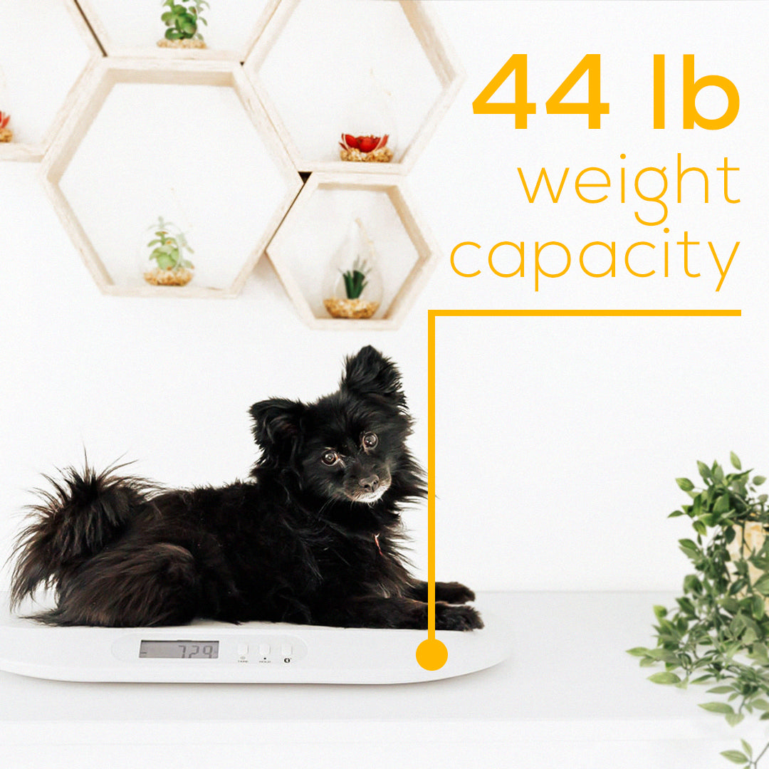 Small Pet Scale Digital Portable Dog Cat Scale Electronic Kitchen Food Scale  with LCD Display 